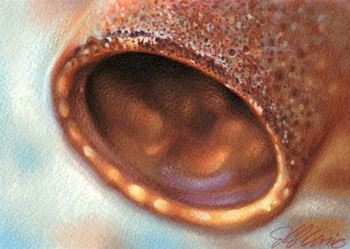 Tattoos - rusty pipe - 42101